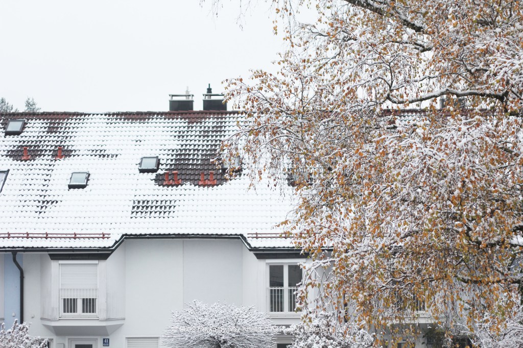 TUESDAY TALK ⎮&nbsp;2